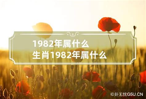 1982年属